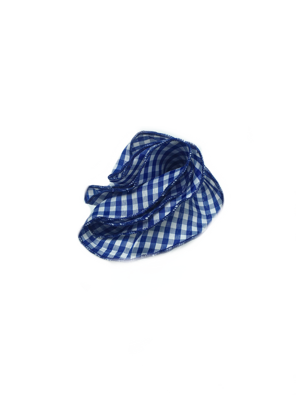 Royal Blue & White Check